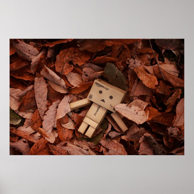 Farbe des Herbstes Poster (Vorne)