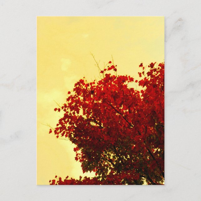 Farbe des Herbstes Postkarte (Vorderseite)