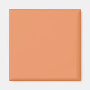 Farbe für Creamsikel Orange F19360 - Option Name h Magnet
