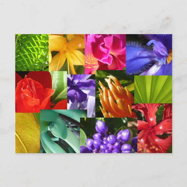 Farbe für die Welt Postkarte (Vorderseite)