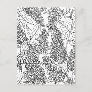 Farbe Ihre eigenen Lilac-Blume Postkarte