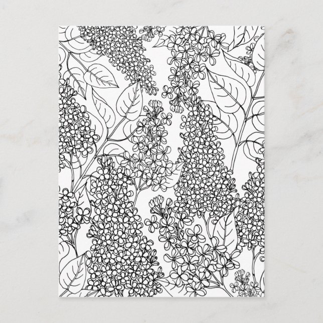 Farbe Ihre eigenen Lilac-Blume Postkarte (Vorderseite)