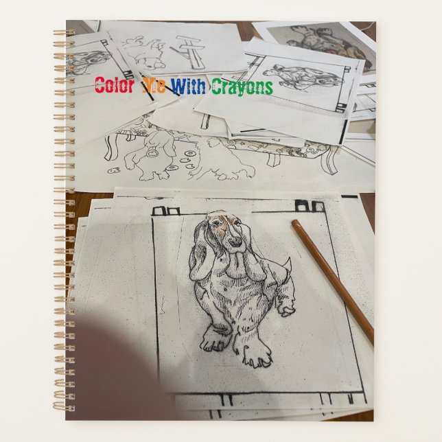 Farbe mit meiner Bassie Planer (Vorderseite)