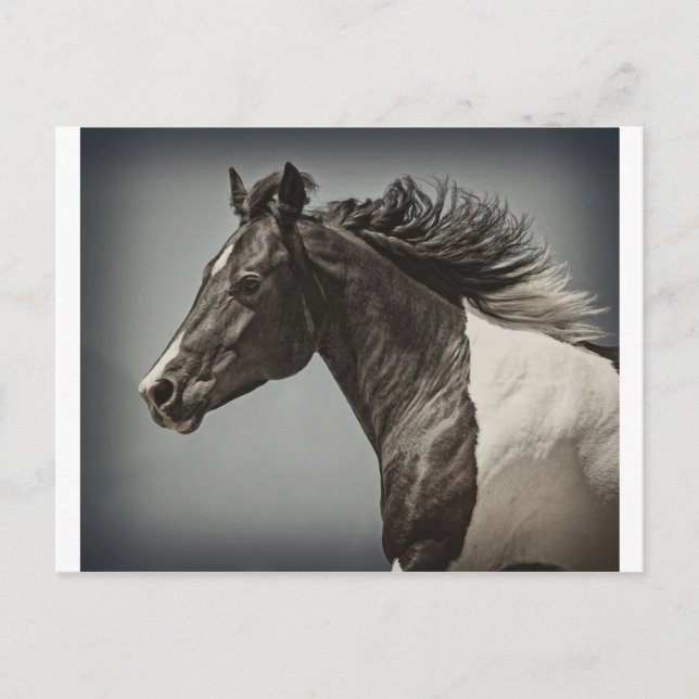 Farbe Postkarte (Vorderseite)