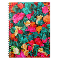 Farbe von getrockneten Blumenspotpourri, Aroma, Ar