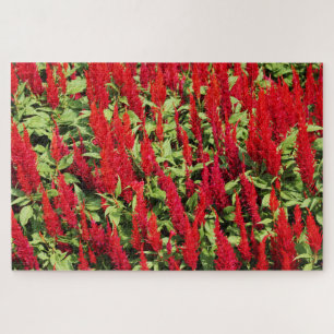 Farben 1 puzzle