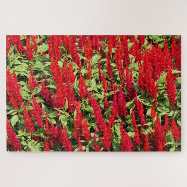 Farben 1 puzzle (Horizontal)