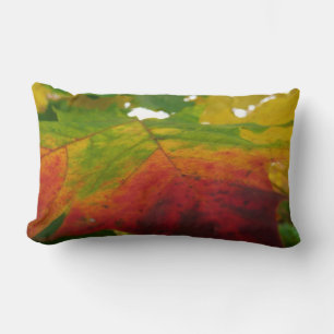 Farben der Ahornleaf Autumn Nature Fotografy Lendenkissen