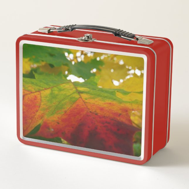 Farben der Ahornleaf Autumn Nature Fotografy Metall Brotdose (Vorderseite)