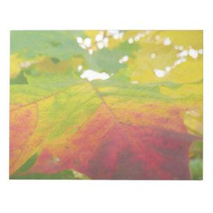 Farben der Ahornleaf Autumn Nature Fotografy Notizblock