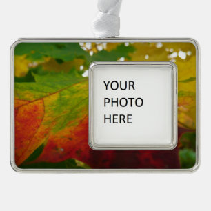 Farben der Ahornleaf Autumn Nature Fotografy Rahmen-Ornament Silber
