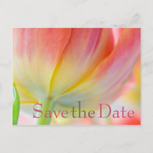 Farben der Frühlings-Tulpe-Save the Date Postkarte