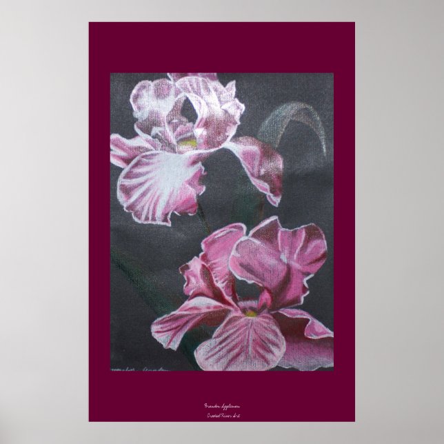 Farben der Iris Poster (Vorne)