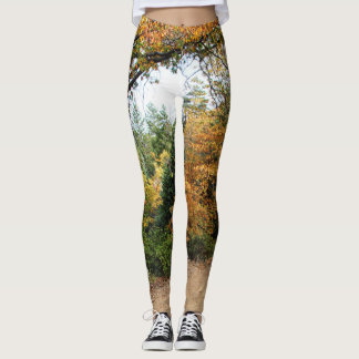 Farben der Leggings
