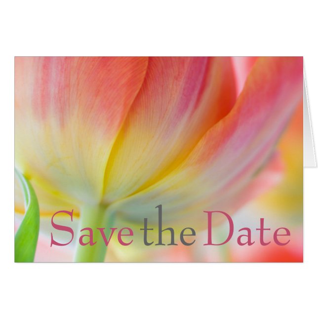 Farben der Spring Tulip Save the Date Karte (Vorderseite (Horizontal))