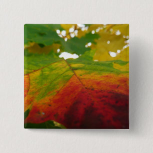 Farben des Ahornblattes Herbst Naturfotografie Button