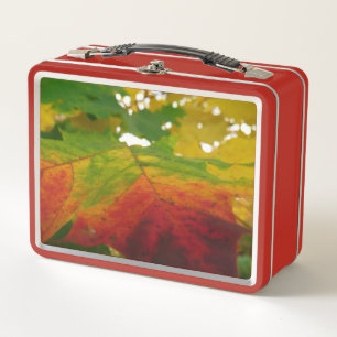 Farben des Ahornblattes Herbst Naturfotografie Metall Brotdose