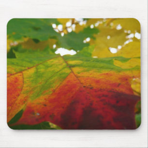 Farben des Ahornblattes Herbst Naturfotografie Mousepad