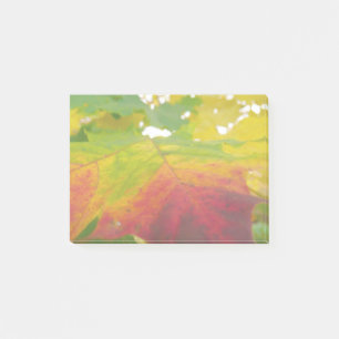 Farben des Ahornblattes Herbst Naturfotografie Post-it Klebezettel