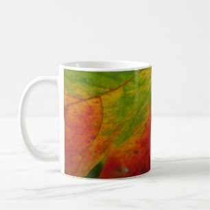 Farben des Ahornblattes Herbst Naturfotografie Tasse