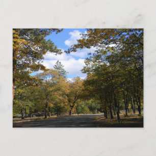 Farben des Herbstes... Postkarte