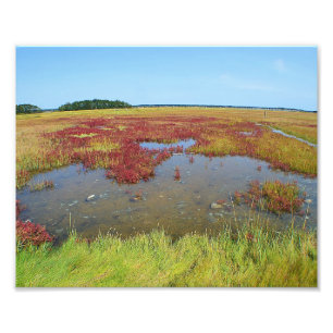 Farben des Marsh-Fotos Fotodruck