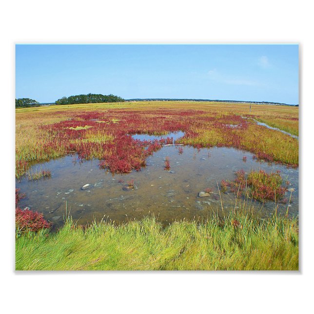 Farben des Marsh-Fotos Fotodruck (Vorne)