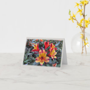 Farben des Sommers Karte