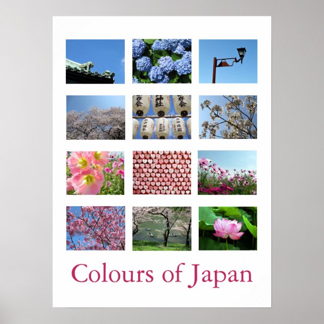 Farben Japans (blau/weiß/rosa) Poster (Vorne)