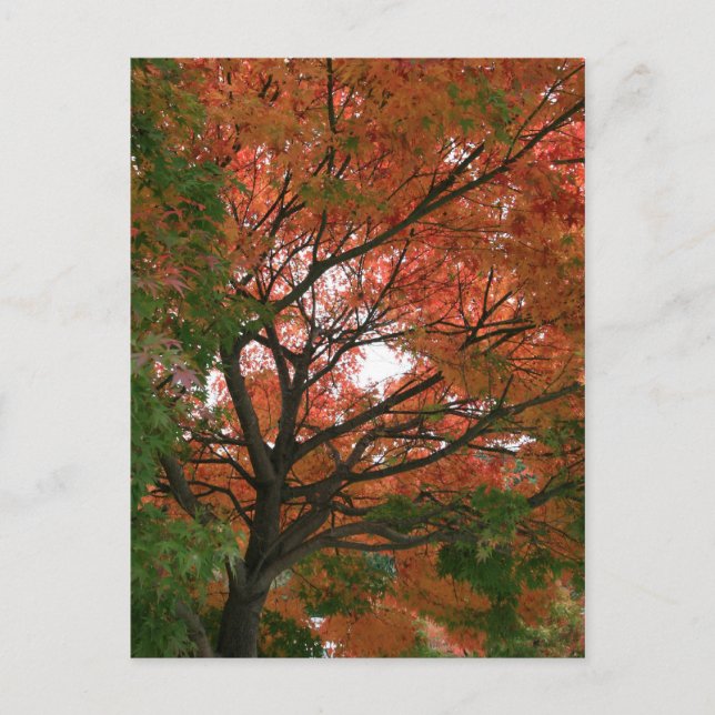 Farben Postkarte (Vorderseite)