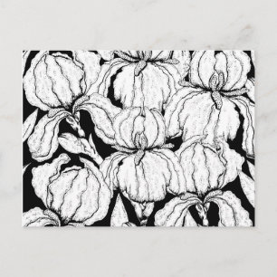Färben Sie Ihre eigenen IrisBlume Postkarte