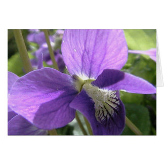 färben Sie mein Soul