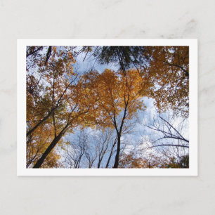 Farben und Himmel Postkarte