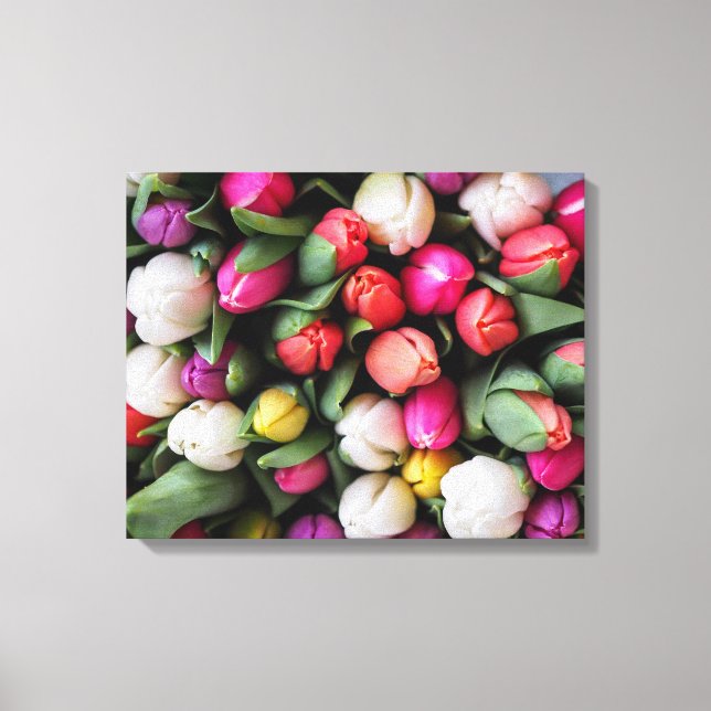 FARBENE TULIPS LEINWANDDRUCK (Vorderseite)