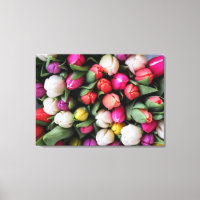 FARBENE TULIPS