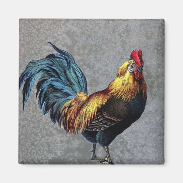 Farbenfroh Bantam Rooster Magnet (Vorne)