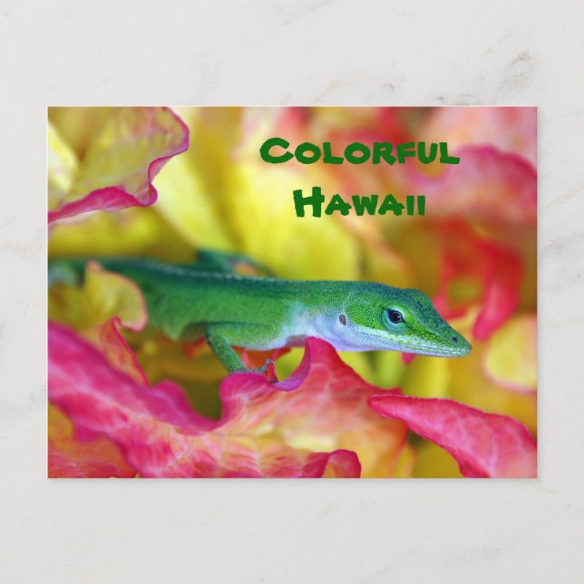 farbenfroh Hawaii Postkarte (Vorderseite)