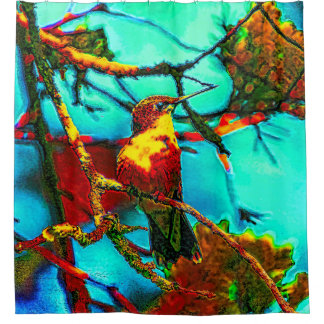 Farbenfroh Hummingbird Duschvorhang