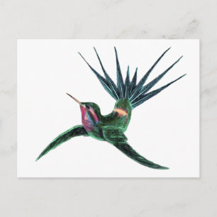 Farbenfroh Hummingbird Postkarte