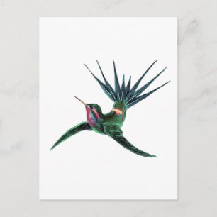 Farbenfroh Hummingbird Postkarte