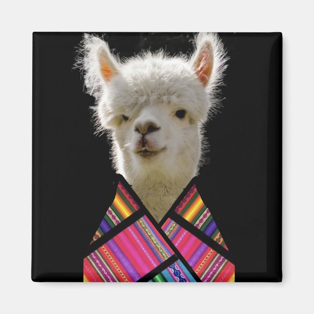 Farbenfroh Llama Magnet (Vorne)