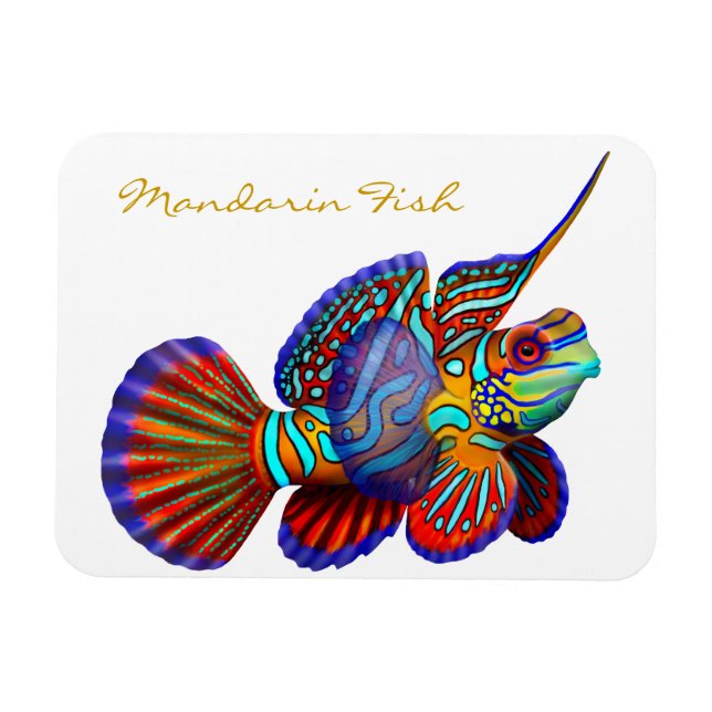 Farbenfroh Mandarin Goby Reef Fish Premium Flexi M Magnet (Horizontal)