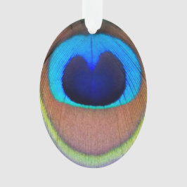 Farbenfroh Peacock Feather Eyespot Ornament