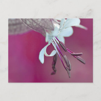 Farbenfroh Postkarte