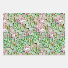 farbenfroh sukkulant geschenkpapier set