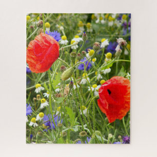 farbenfroh, weiß, rot, Mohn, Wiese, Natur, Puzzle