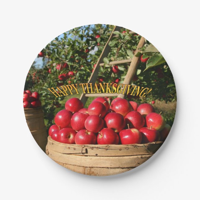 Farbenfrohe Apple Ernte Happy Thanksgiving Pappteller (Vorderseite)