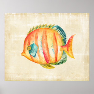 Farbenfrohe Aquarienfische Poster