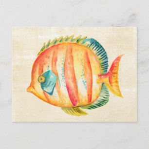 Farbenfrohe Aquarienfische Postkarte