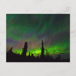 Farbenfrohe Aurora über Alaska Postkarte